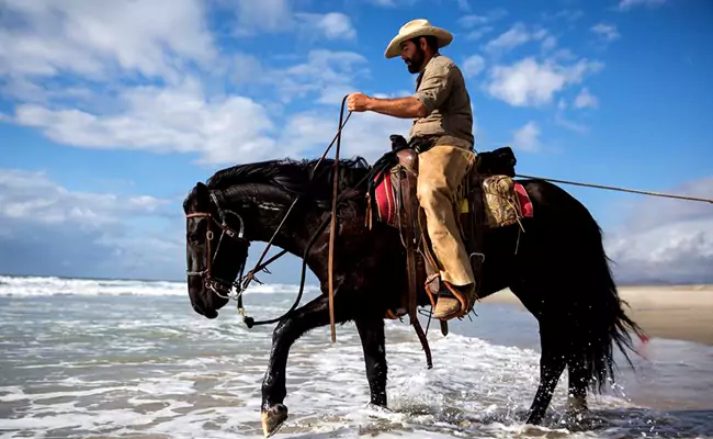 temabilde-ranch-1-67502f099a9a1.webp
