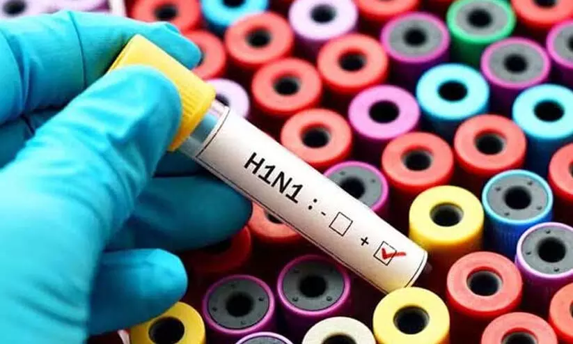 2634591-h1n1